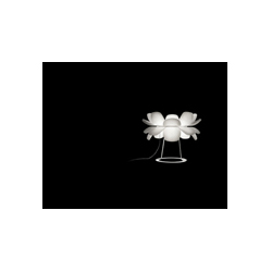 Infiore�ִ��ǿ���̨��